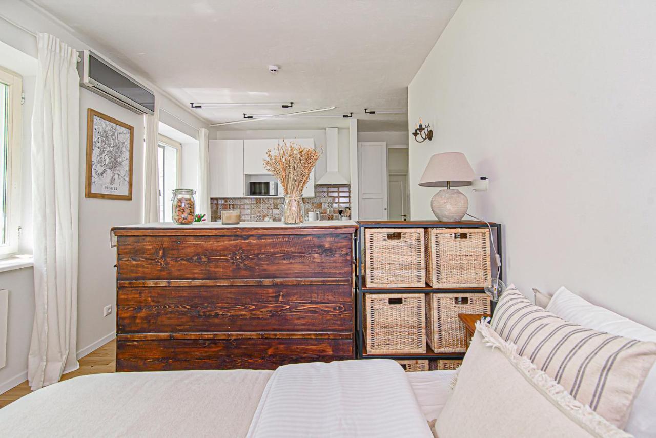 Cozy Studio In The Heart Of Vilnius Old Town Exteriör bild