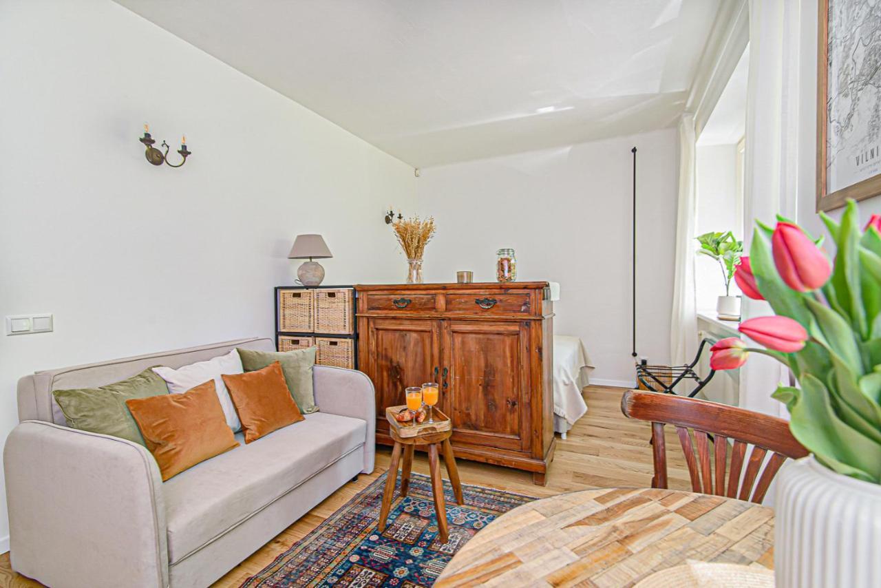 Cozy Studio In The Heart Of Vilnius Old Town Exteriör bild